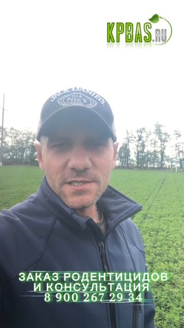 Борьба с мышами в полях биопрепаратами