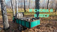 Какой валежник можно собирать в лесу Удачный выезд за дровами набрал полный прицеп