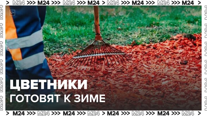 Цветники начали готовить к зиме в Москве - Москва 24