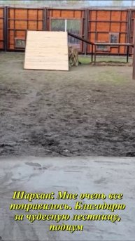 Шархан Благодарю за отличную лестницу и подиум 17.10.2025