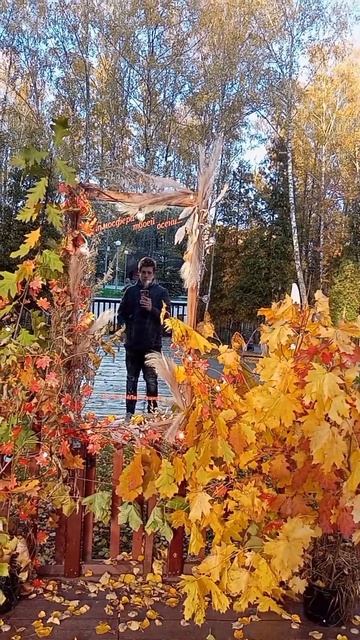 фотозона в парке, осень #autumn #photozone #осень