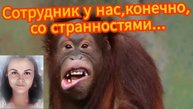 Мошенник обиделся на правду и спрятался под юбку