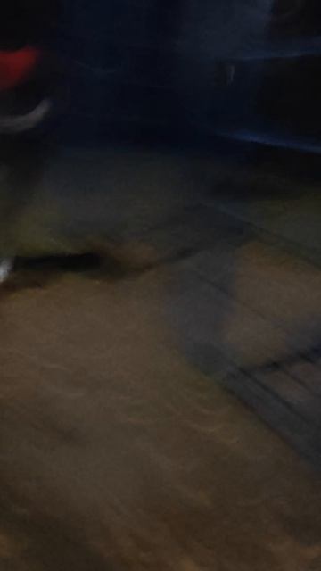 тун схуррррр