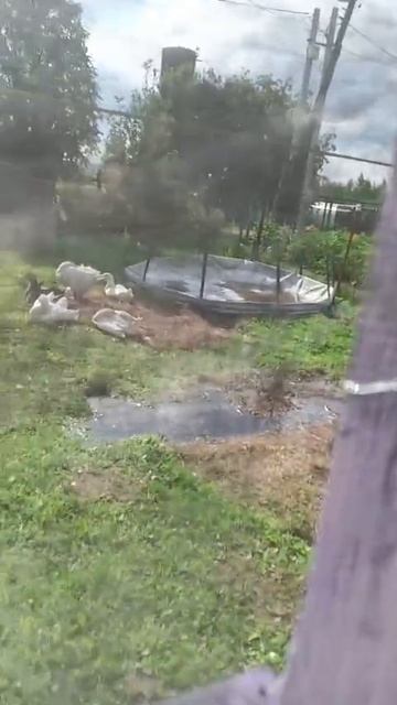 704c82ab-c113-4db7-8ad4-6acd3113ad41-1_all_1559.mp4