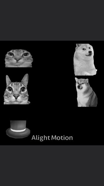 анимация доги против зазу