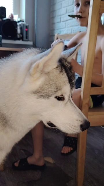 Обиженка 🤣