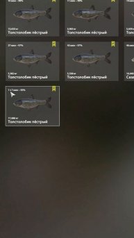 Раздача толстолобиков на Суре