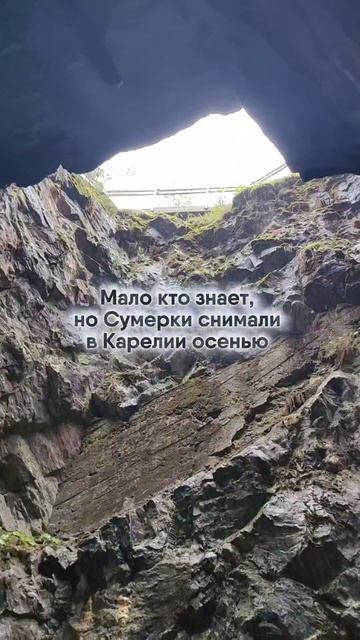 ТГ: Дневник Мафиози