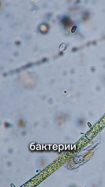 Что может быть хуже сахара