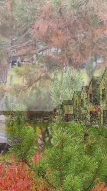 Небо в Доброграде сегодня в мягких серых тонах, воздух свежий, а утро наполнено спокойствием и уютом