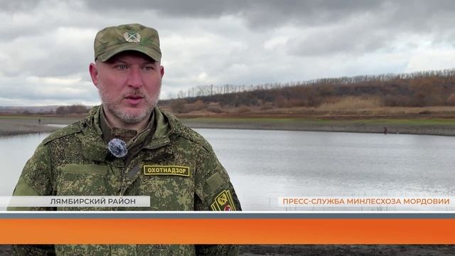 Минлесхоз Мордовии продолжает зарыбление водоёмов