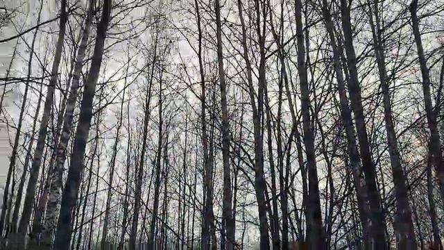 17-10-2025 Осенние краски