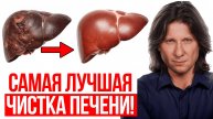 Печень восстанавливается быстро и глубоко! Какие продукты нужно есть чтобы помочь печени?