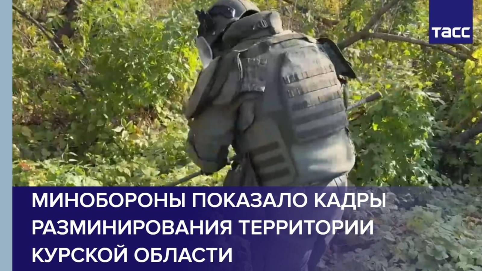 Минобороны показало кадры разминирования территории Курской области