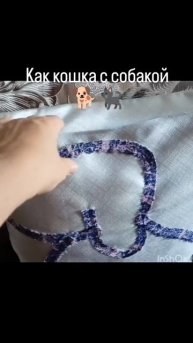 Как кошка с собакой