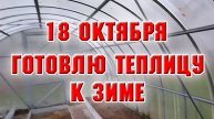 18 октября. Как я готовлю теплицу к зиме