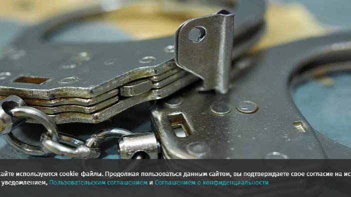 Главу объединения частных детективов Матушкина задержали по делу о госизмене