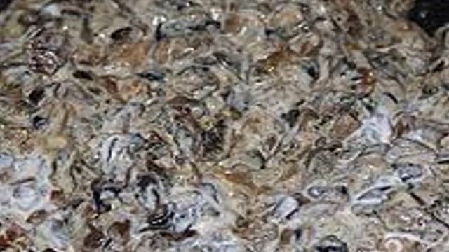 Пирог с опятами