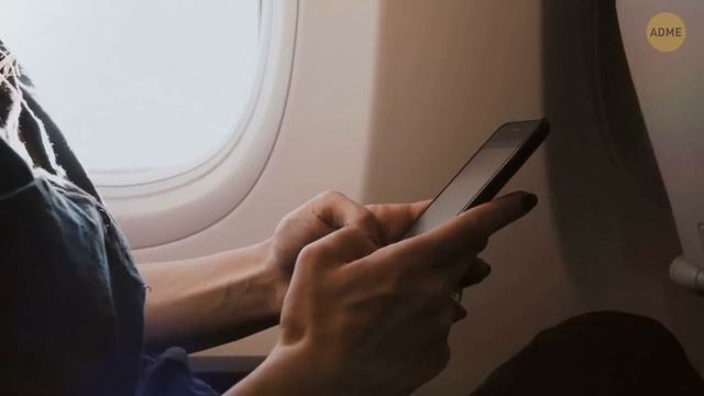 Бабушка случайно принесла питона на самолет // Шокирующие происшествия в отпуске