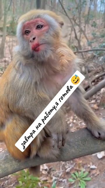 На работу готовая 😂😂😂