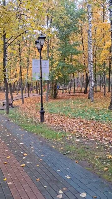 Прекрасное осеннее утро в парке🍁❤️🔥#Осень #туман #природа #парк #пруд #лес #деревья