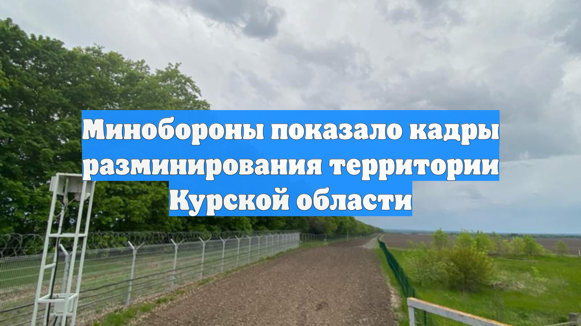 Минобороны показало кадры разминирования территории Курской области