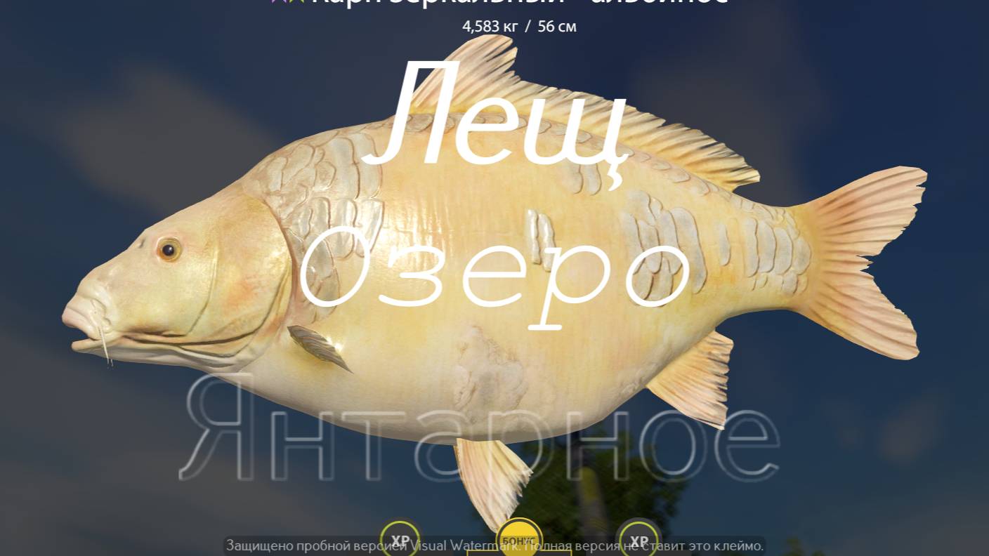 Ловим леща на озере Янтарное РР4 !!!