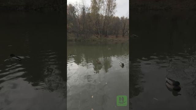 Заповедник Покровское-Стрешнево