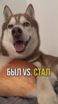 Изменился?😳