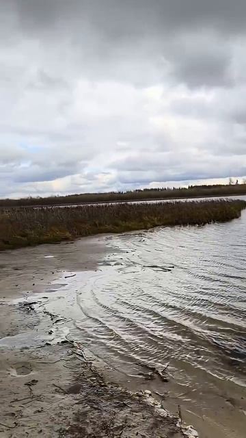 Ласковское озеро - место обетованное, выходят космические энергии. #Ласковское #Звёзды