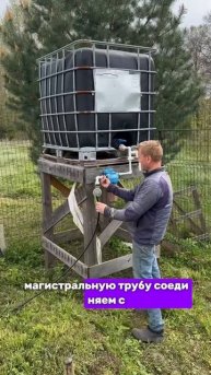 Я помидоры не поливаю