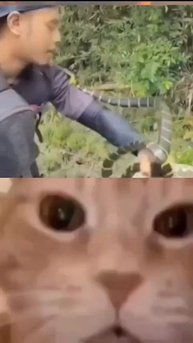Укусил змею в ответ😂