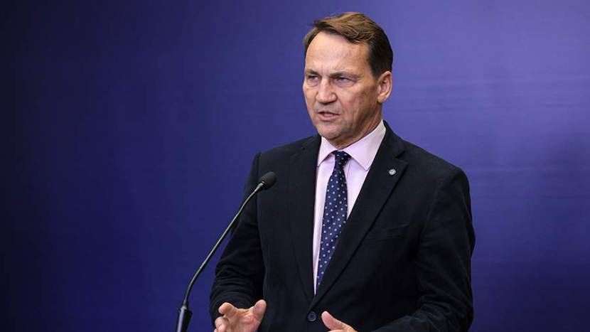 Азаров назвал главу МИД Польши Сикорского негодяем