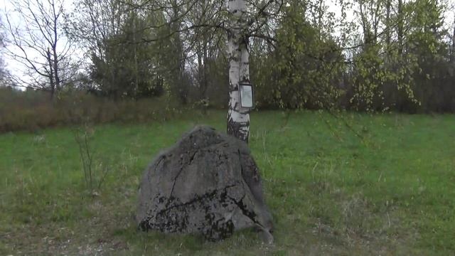 vatravel.ru Памятный камень Миклухо-Маклаю (д.Языково, Окуловский район, Новгородская обл)