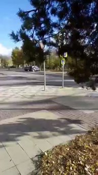 Природою всё учтено (моё личное стихотворение)