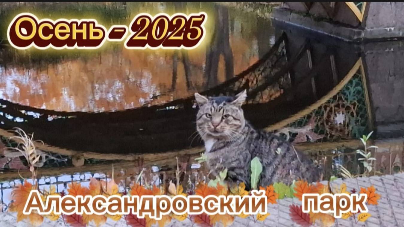 Осень в Александровском парке: от Ламских прудов до Золотых ворот/Мосты в Пушкине/осень в СПб 2025