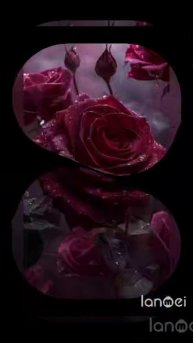 Lanmei_VID_20251018_181335.mp4