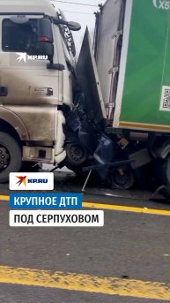 Страшная авария в Подмосковье: три человека погибли