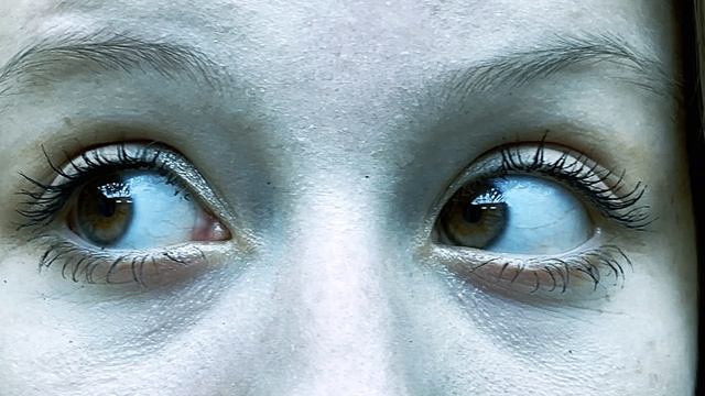 Практическая работа №4 "Хромакей" Салина