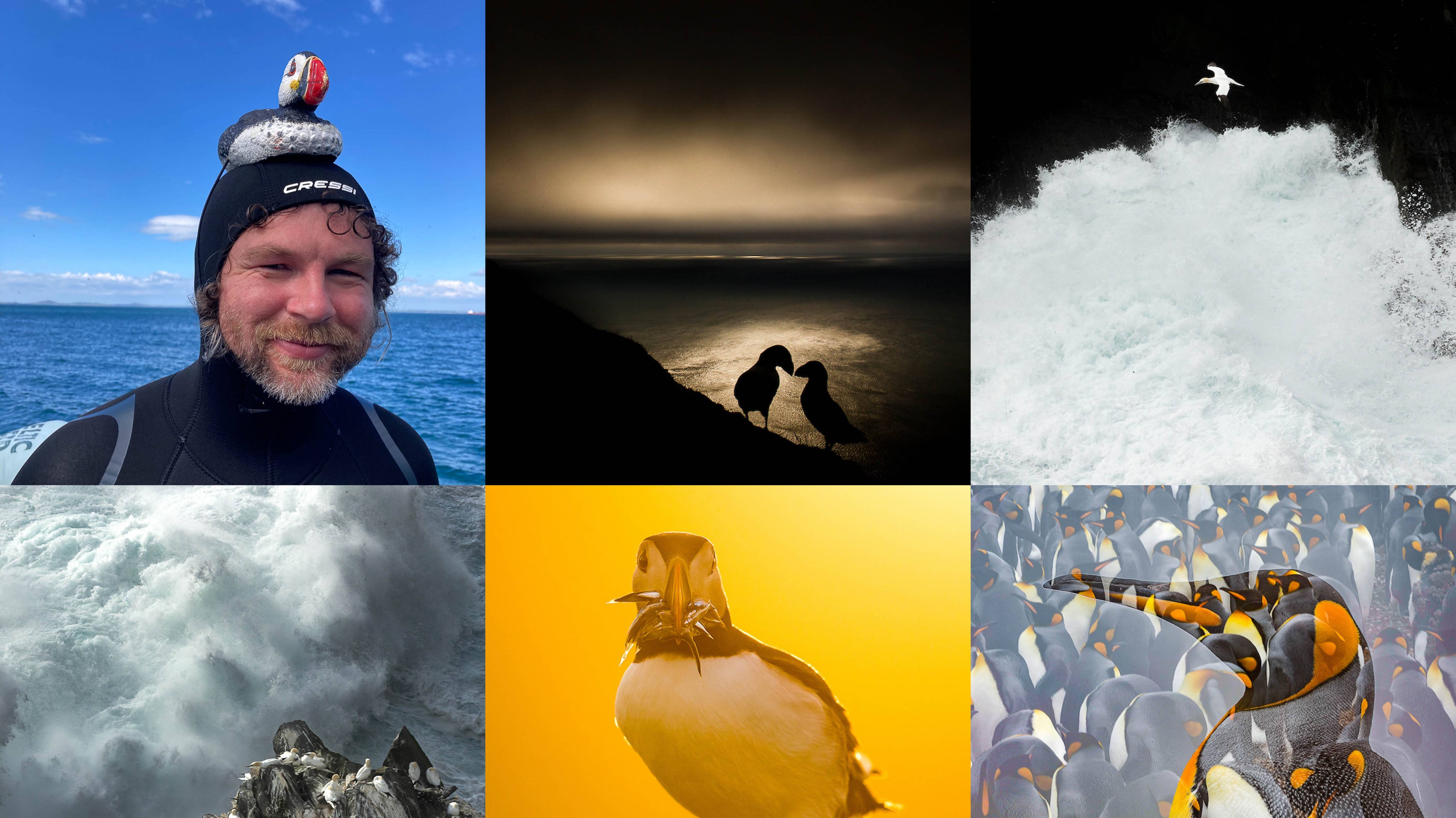 Kevin Morgans - The Art of Seabird Photography