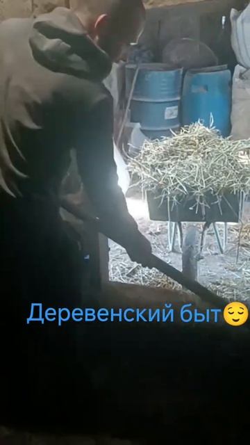 Деревенский быт