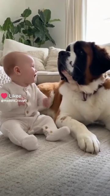 Друзья😂😂😂