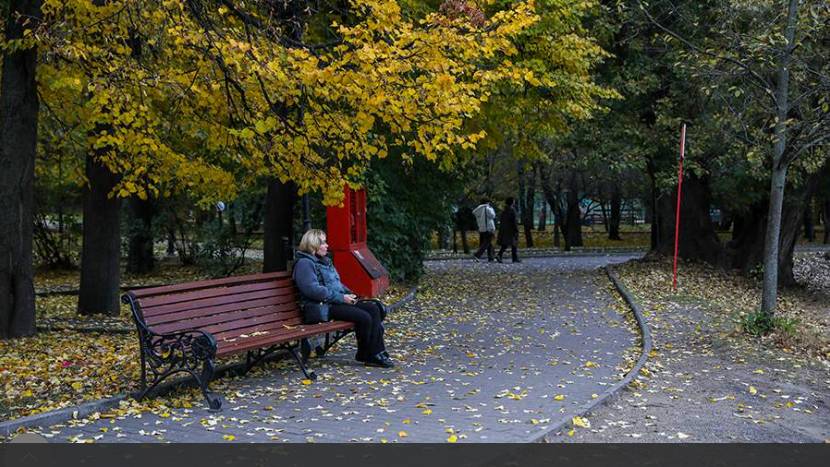 Синоптики спрогнозировали температуру до +9 градусов и дождь в Москве 18 октября