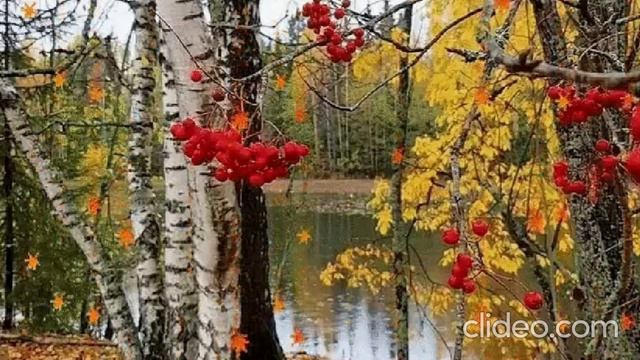 Осень запоздалая