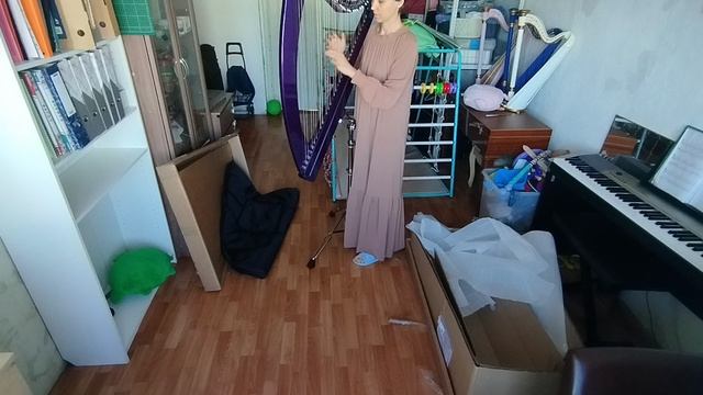 Распаковка Электроарфы 22.03.2025