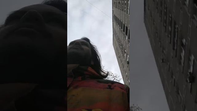 Мы идём гулять с собакой! | 18-окт-2025, 2