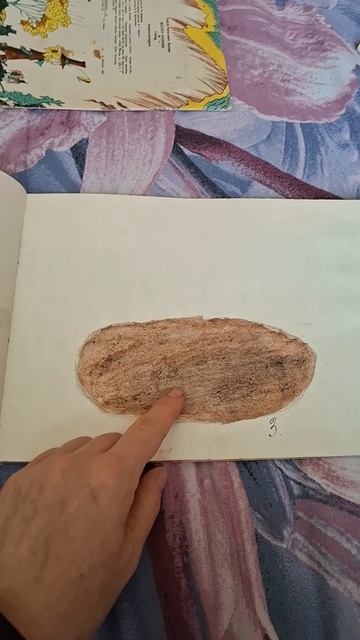 Советский альбом для рисования, ученицы 2го класса 1986 год❤️🔥#ссср #советский_союз #школа