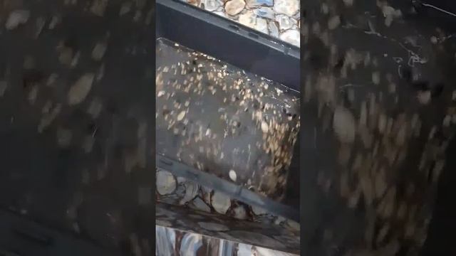 мойка крысиной клетки