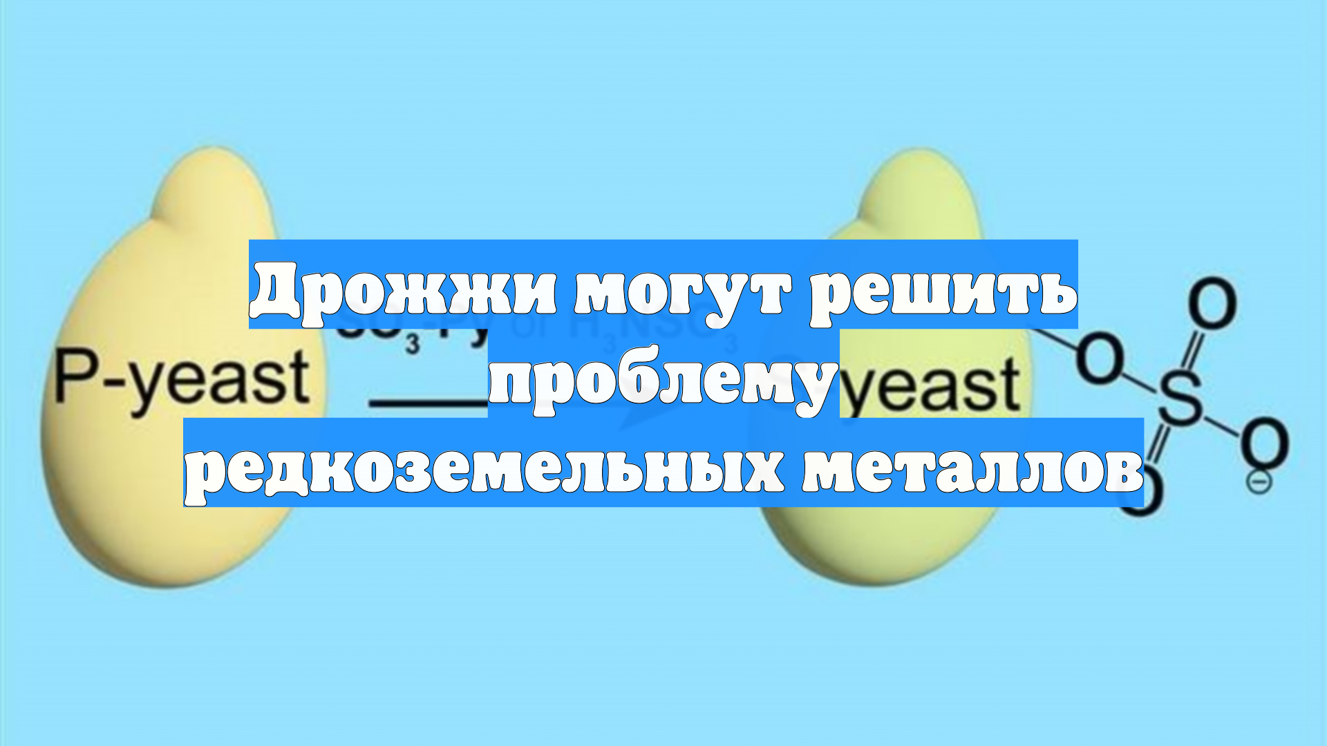 Дрожжи могут решить проблему редкоземельных металлов