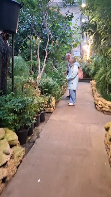 В Ботаническом саду, Аптекарском огороде, Москва❤️🔥Народу никого🙏#ботаническийсад #москва